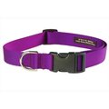 Sassy Dog Wear Sassy Dog Wear SOLID PURPLE SM-C Nylon Webbing Dog Collar; Purple - Small SOLID PURPLE SM-C